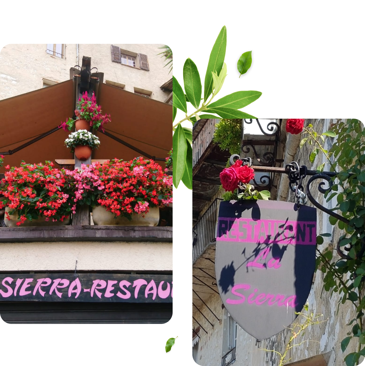 Le restaurant - La Sierra - Saint-Paul-de-Vence